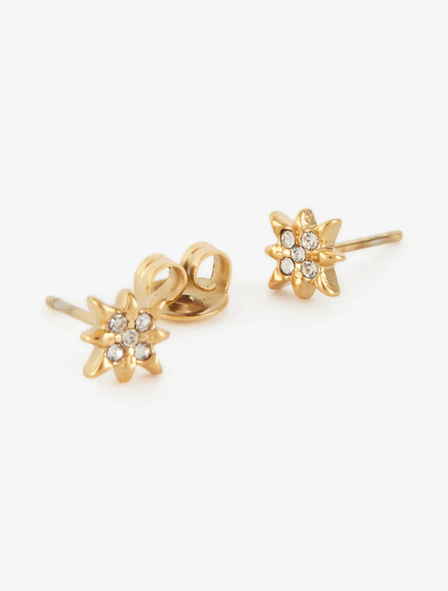 Oorstekers met strass-sterrenmotief - Goud - Image 3
