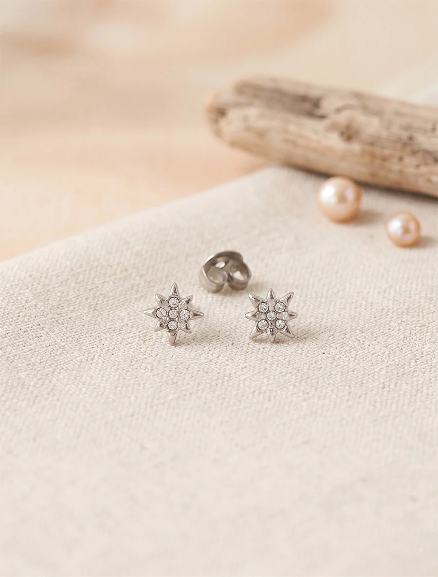 Oorstekers met strass-sterrenmotief - Geld